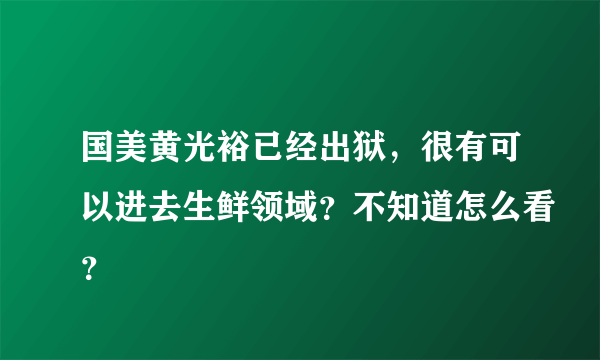 国美黄光裕已经出狱，很有可以进去生鲜领域？不知道怎么看？