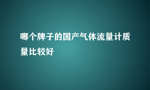 哪个牌子的国产气体流量计质量比较好