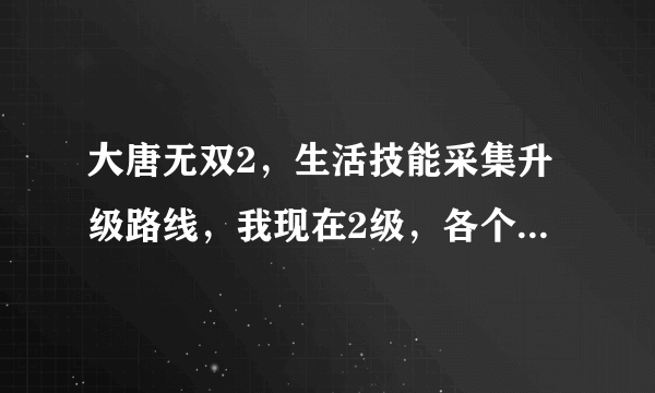 大唐无双2，生活技能采集升级路线，我现在2级，各个技能去哪里升级快，路线怎么样走的。制造技能哪个赚钱