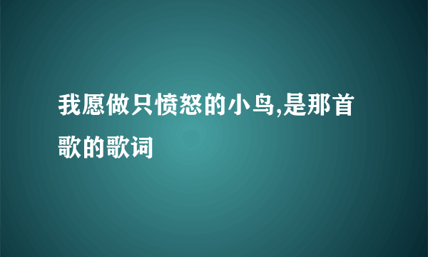 我愿做只愤怒的小鸟,是那首歌的歌词