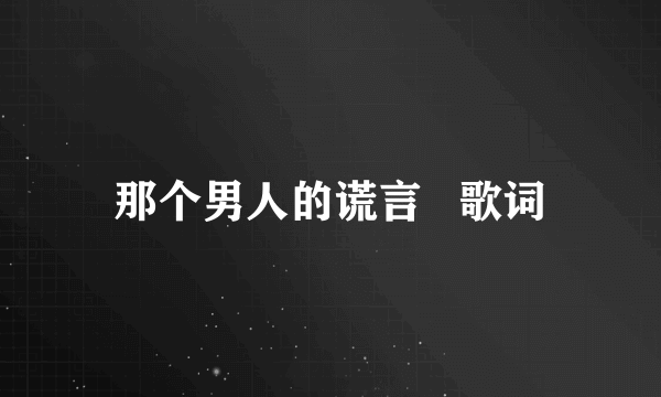 那个男人的谎言   歌词