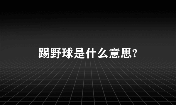 踢野球是什么意思?