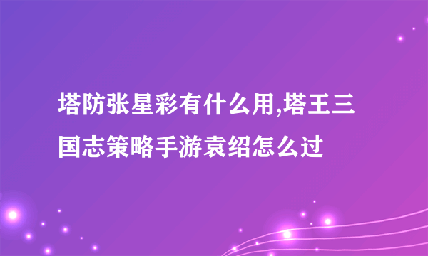 塔防张星彩有什么用,塔王三国志策略手游袁绍怎么过