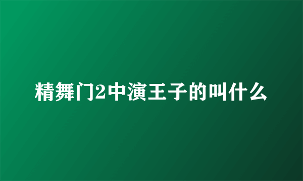 精舞门2中演王子的叫什么