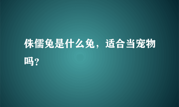 侏儒兔是什么兔，适合当宠物吗？