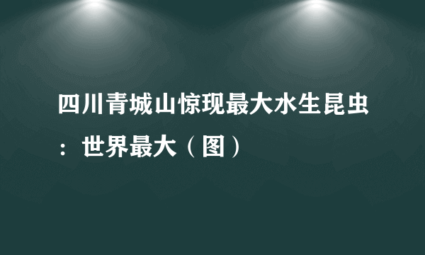 四川青城山惊现最大水生昆虫：世界最大（图）