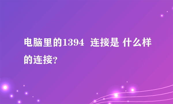 电脑里的1394  连接是 什么样的连接？