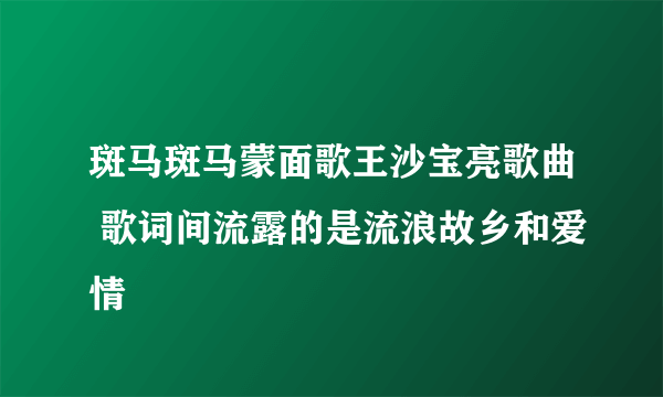 斑马斑马蒙面歌王沙宝亮歌曲 歌词间流露的是流浪故乡和爱情