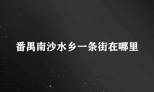 番禺南沙水乡一条街在哪里