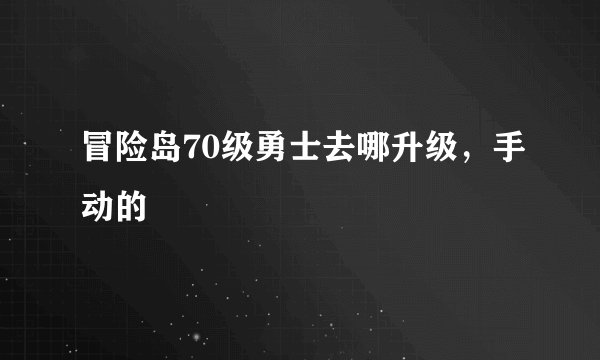 冒险岛70级勇士去哪升级，手动的