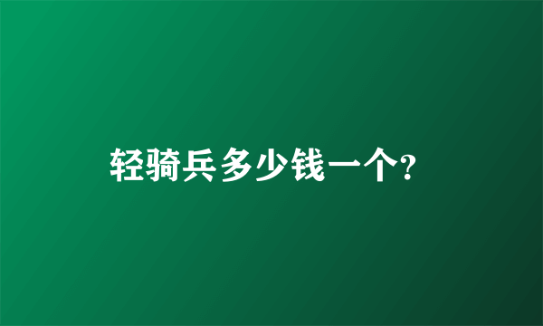 轻骑兵多少钱一个？