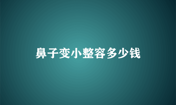 鼻子变小整容多少钱