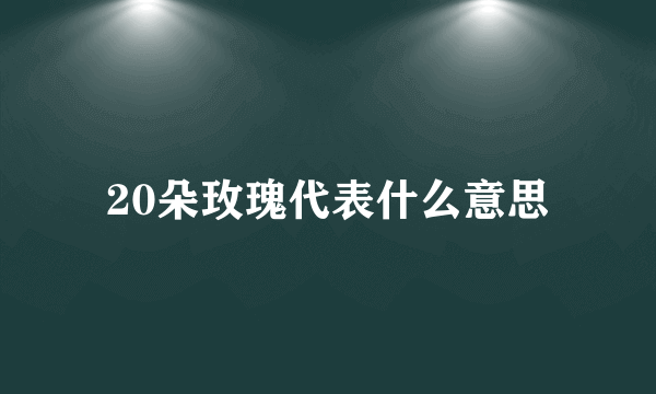 20朵玫瑰代表什么意思