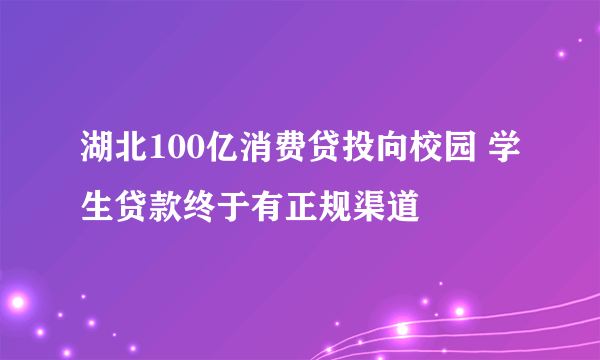 湖北100亿消费贷投向校园 学生贷款终于有正规渠道