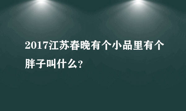 2017江苏春晚有个小品里有个胖子叫什么？