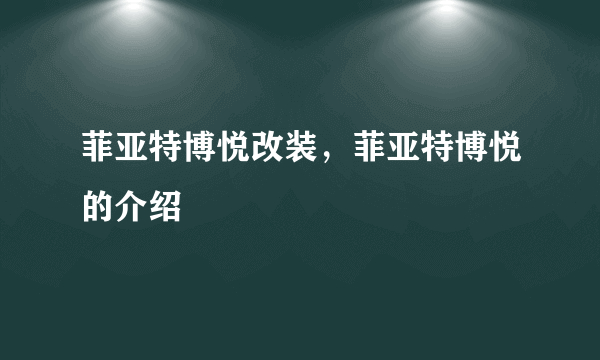 菲亚特博悦改装，菲亚特博悦的介绍