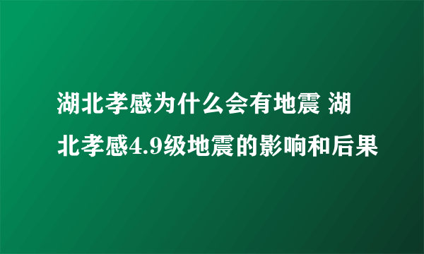 湖北孝感为什么会有地震 湖北孝感4.9级地震的影响和后果