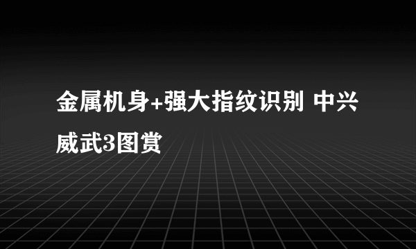 金属机身+强大指纹识别 中兴威武3图赏