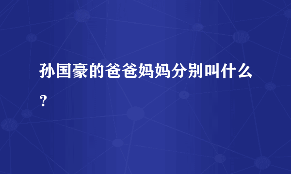 孙国豪的爸爸妈妈分别叫什么？