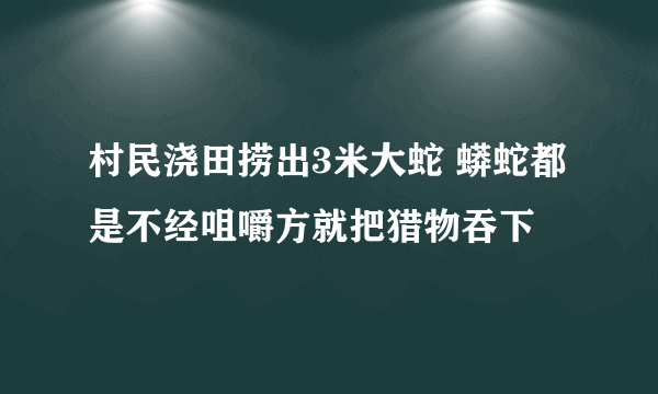 村民浇田捞出3米大蛇 蟒蛇都是不经咀嚼方就把猎物吞下