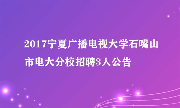 2017宁夏广播电视大学石嘴山市电大分校招聘3人公告