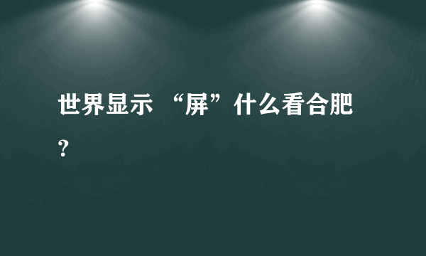 世界显示 “屏”什么看合肥？