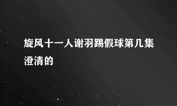 旋风十一人谢羽踢假球第几集澄清的