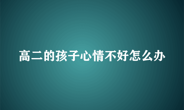 高二的孩子心情不好怎么办