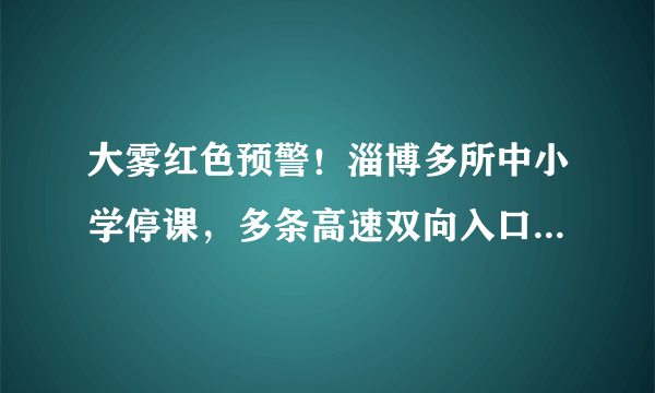 大雾红色预警！淄博多所中小学停课，多条高速双向入口临时关闭, 你怎么看？