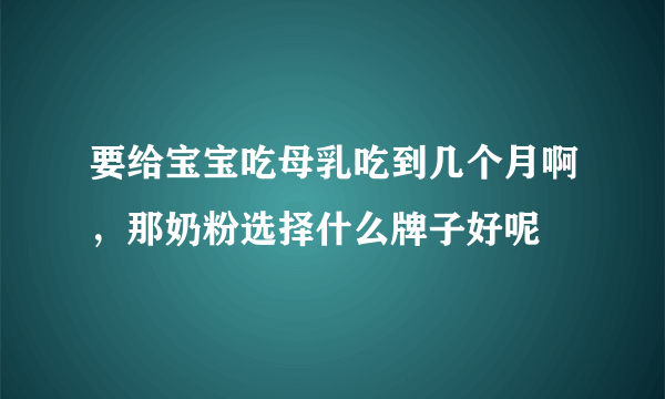 要给宝宝吃母乳吃到几个月啊，那奶粉选择什么牌子好呢