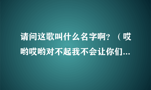 请问这歌叫什么名字啊？（哎哟哎哟对不起我不会让你们在一起）