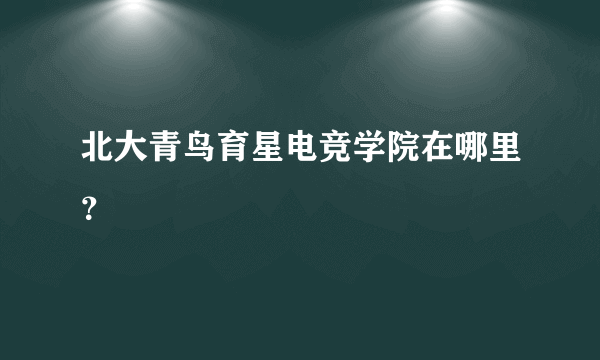 北大青鸟育星电竞学院在哪里？