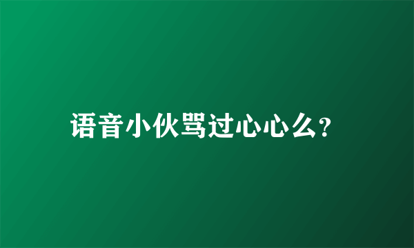 语音小伙骂过心心么？