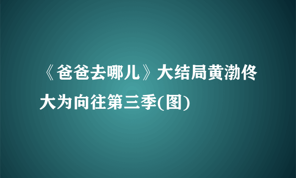 《爸爸去哪儿》大结局黄渤佟大为向往第三季(图)