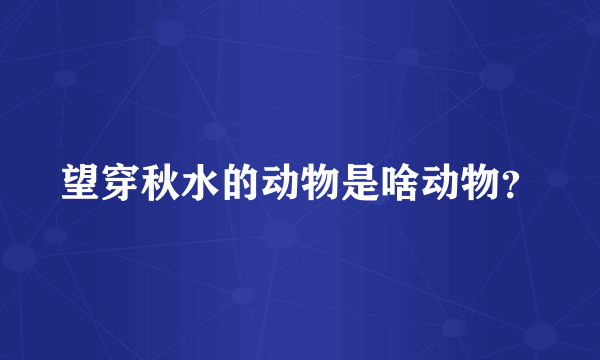 望穿秋水的动物是啥动物？