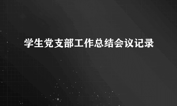 学生党支部工作总结会议记录