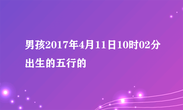 男孩2017年4月11日10时02分出生的五行的