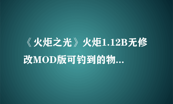 《火炬之光》火炬1.12B无修改MOD版可钓到的物品全揭秘（加野马关手套等）