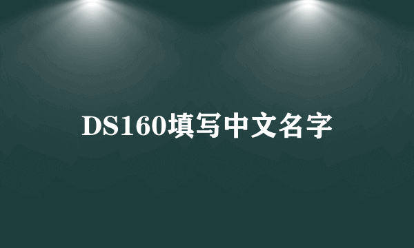 DS160填写中文名字