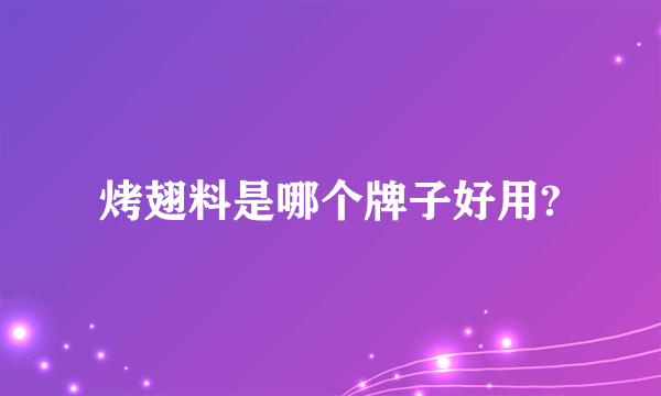 烤翅料是哪个牌子好用?