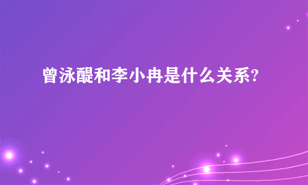 曾泳醍和李小冉是什么关系?