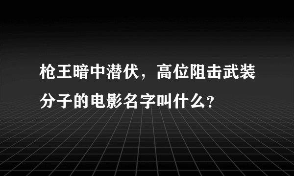 枪王暗中潜伏，高位阻击武装分子的电影名字叫什么？