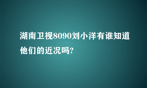 湖南卫视8090刘小洋有谁知道他们的近况吗?