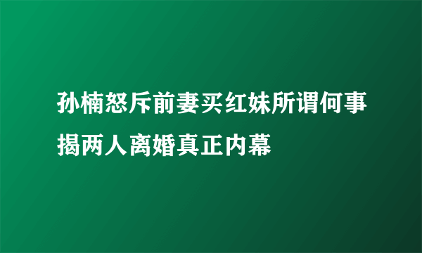 孙楠怒斥前妻买红妹所谓何事揭两人离婚真正内幕