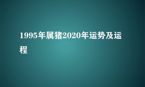 1995年属猪2020年运势及运程