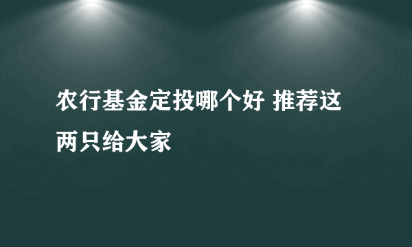 农行基金定投哪个好 推荐这两只给大家