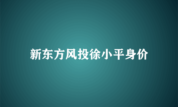 新东方风投徐小平身价