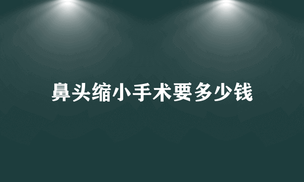 鼻头缩小手术要多少钱