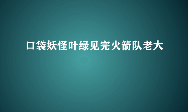 口袋妖怪叶绿见完火箭队老大