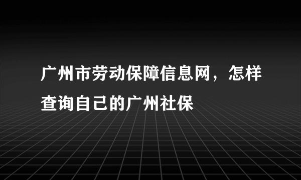 广州市劳动保障信息网，怎样查询自己的广州社保